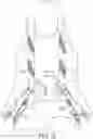 Fig. 11 - Webbing-buckling device of a multi-point seat belt system