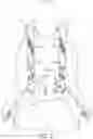 Fig. 18 - Webbing-buckling device of a multi-point seat belt system