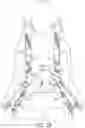Fig. 20 - Webbing-buckling device of a multi-point seat belt system