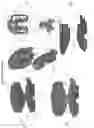 Fig. 10 - Windshield wiper
