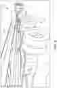 Fig. 07 - Hydraulic steering system