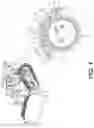 Fig. 02 - Bushing for a track assembly