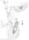 Fig. 02 - Seat post