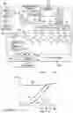 Fig. 03 - Process and machine for reducing a drag component of a horizontal stabilizer on an aircraft