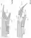 Fig. 04 - Distributed trailing edge wing flap systems