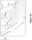 Fig. 06 - Mechanically-distributed propulsion drivetrain and architecture