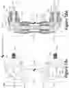Fig. 18 - Mechanically-distributed propulsion drivetrain and architecture
