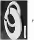 Fig. 02 - Repulpable paper strap with enhanced moisture resistance and methods to make the same