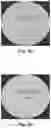 Fig. 06 - Repulpable paper strap with enhanced moisture resistance and methods to make the same