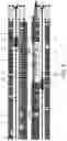 Fig. 07 - Flexible and compact order picking system