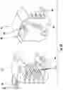 Fig. 34 - Apparatuses, systems, and methods for transporting medications from a central pharmacy to a patient in a healthcare facility
