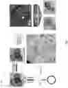Fig. 02 - Biodegradable hollow nanoparticles and methods and apparatus for manufacturing the same