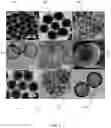 Fig. 04 - Biodegradable hollow nanoparticles and methods and apparatus for manufacturing the same