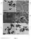 Fig. 05 - Biodegradable hollow nanoparticles and methods and apparatus for manufacturing the same