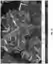 Fig. 03 - Transition metal cyanide coordination compounds having multiple reactions