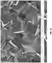 Fig. 07 - Transition metal cyanide coordination compounds having multiple reactions