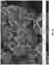 Fig. 08 - Transition metal cyanide coordination compounds having multiple reactions