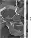 Fig. 09 - Transition metal cyanide coordination compounds having multiple reactions