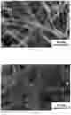 Fig. 03 - Nanostructured titanic acid salts and preparation process and use thereof