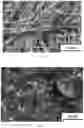 Fig. 05 - Nanostructured titanic acid salts and preparation process and use thereof
