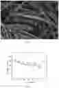 Fig. 03 - Preparation method of a nanotube hierarchically structured lithium titanate and use and product thereof