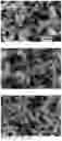 Fig. 03 - Process for preparing titanic acid salt, titanic acid, and titanium oxide having controllable particle size and hierarchical structure