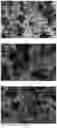 Fig. 05 - Process for preparing titanic acid salt, titanic acid, and titanium oxide having controllable particle size and hierarchical structure