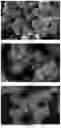 Fig. 06 - Process for preparing titanic acid salt, titanic acid, and titanium oxide having controllable particle size and hierarchical structure