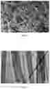 Fig. 02 - Linear Porous Titanium Dioxide Material And Preparation And Use Thereof