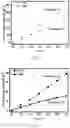 Fig. 05 - Linear Porous Titanium Dioxide Material And Preparation And Use Thereof
