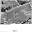 Fig. 02 - ADSORBENT FOR ANAEROBIC DIGESTION PROCESSES