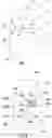 Fig. 07 - Strengthened glass articles with separation features