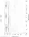 Fig. 11 - Glass substrate and method for manufacturing the same