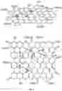 Fig. 02 - Graphenic fibers, yarns, composites, and methods of making the same