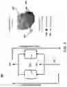 Fig. 13 - ETHYLENE-TO-LIQUIDS SYSTEMS AND METHODS