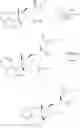 Fig. 124 - Treprostinil derivatives and compositions and uses thereof