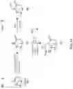 Fig. 04 - Pinene-derived diisocyanates