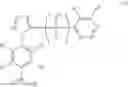 Fig. 10 - Grp94 selective inhibitors and uses thereof