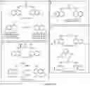 Fig. 25 - Bisaminoquinoline compounds, pharmaceutical compositions prepared therefrom and their use