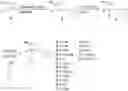 Fig. 01 - 8-phenyl-isoquinolines and pharmaceutical composition thereof used in the treatment of irritable bowel syndrome