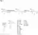 Fig. 02 - 8-phenyl-isoquinolines and pharmaceutical composition thereof used in the treatment of irritable bowel syndrome