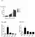 Fig. 07 - 8-phenyl-isoquinolines and pharmaceutical composition thereof used in the treatment of irritable bowel syndrome
