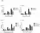 Fig. 11 - 8-phenyl-isoquinolines and pharmaceutical composition thereof used in the treatment of irritable bowel syndrome