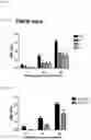 Fig. 12 - 8-phenyl-isoquinolines and pharmaceutical composition thereof used in the treatment of irritable bowel syndrome