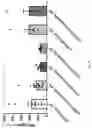 Fig. 07 - Isoquinoline-steroid conjugates and uses thereof