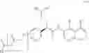 Fig. 15 - Isoquinoline-steroid conjugates and uses thereof