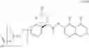 Fig. 205 - Isoquinoline-steroid conjugates and uses thereof
