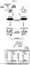Fig. 02 - Photoreactive ligands and uses thereof