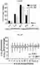 Fig. 22 - Photoreactive ligands and uses thereof