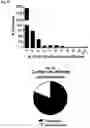 Fig. 28 - Photoreactive ligands and uses thereof